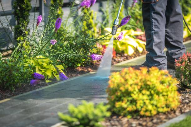 Best Fence Cleaning  in Lincoln, CA